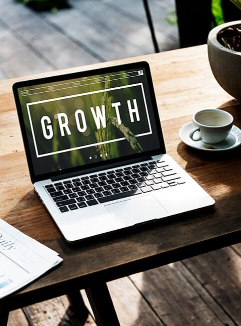 Scaling with Lapinig Digital