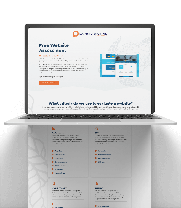 Website Check by Lapinig Digital
